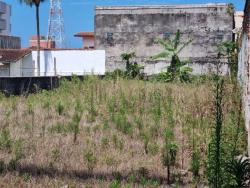 #88 - Terreno para Venda em Peruíbe - SP - 3