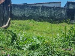 #116 - Terreno para Venda em Peruíbe - SP - 3