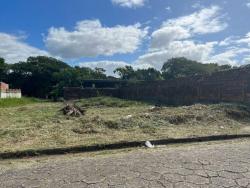 #16 - Terreno para Venda em Peruíbe - SP - 3